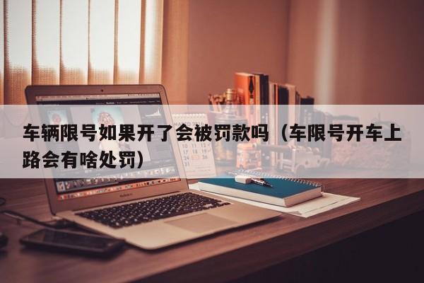 车辆限号如果开了会被罚款吗（车限号开车上路会有啥处罚）