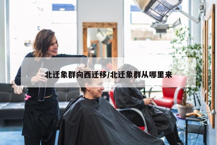 北迁象群向西迁移/北迁象群从哪里来