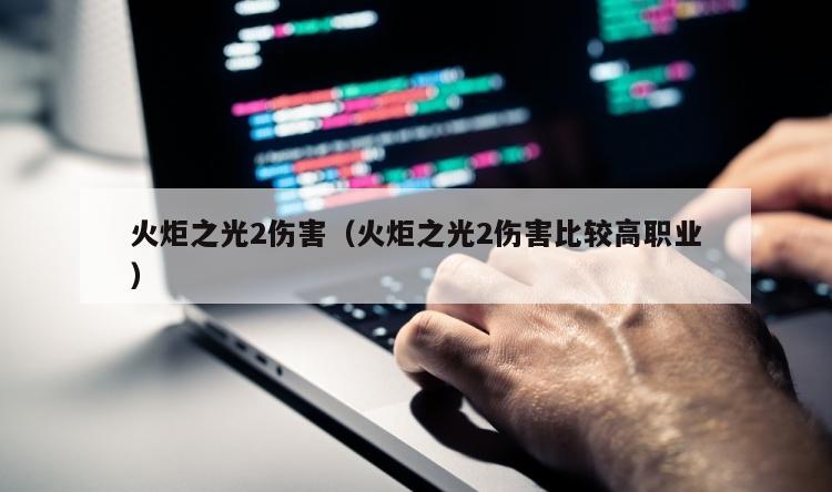火炬之光2伤害（火炬之光2伤害比较高职业）
