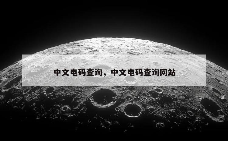 中文电码查询，中文电码查询网站
