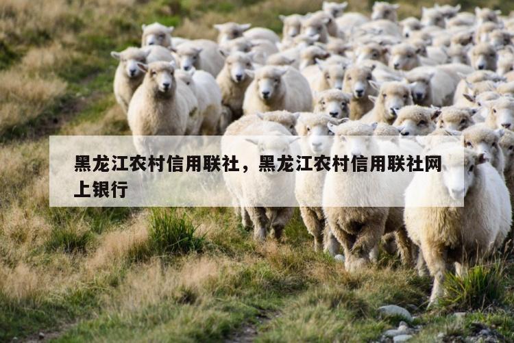 黑龙江农村信用联社，黑龙江农村信用联社网上银行