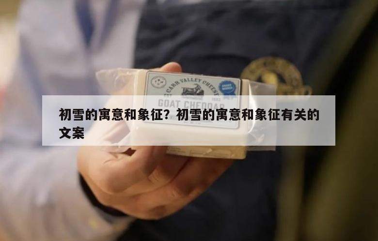 初雪的寓意和象征？初雪的寓意和象征有关的文案