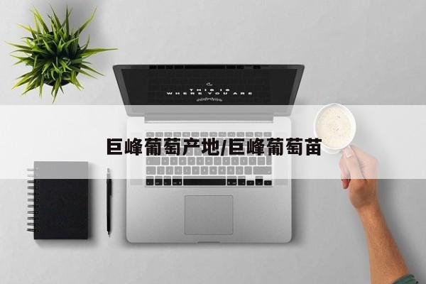 巨峰葡萄产地/巨峰葡萄苗