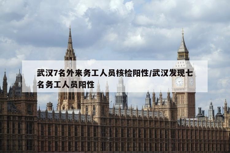 武汉7名外来务工人员核检阳性/武汉发现七名务工人员阳性