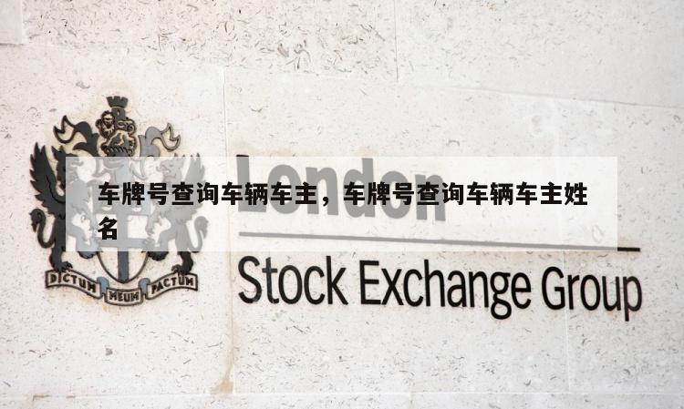 车牌号查询车辆车主，车牌号查询车辆车主姓名