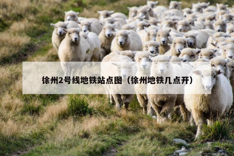 徐州2号线地铁站点图（徐州地铁几点开）