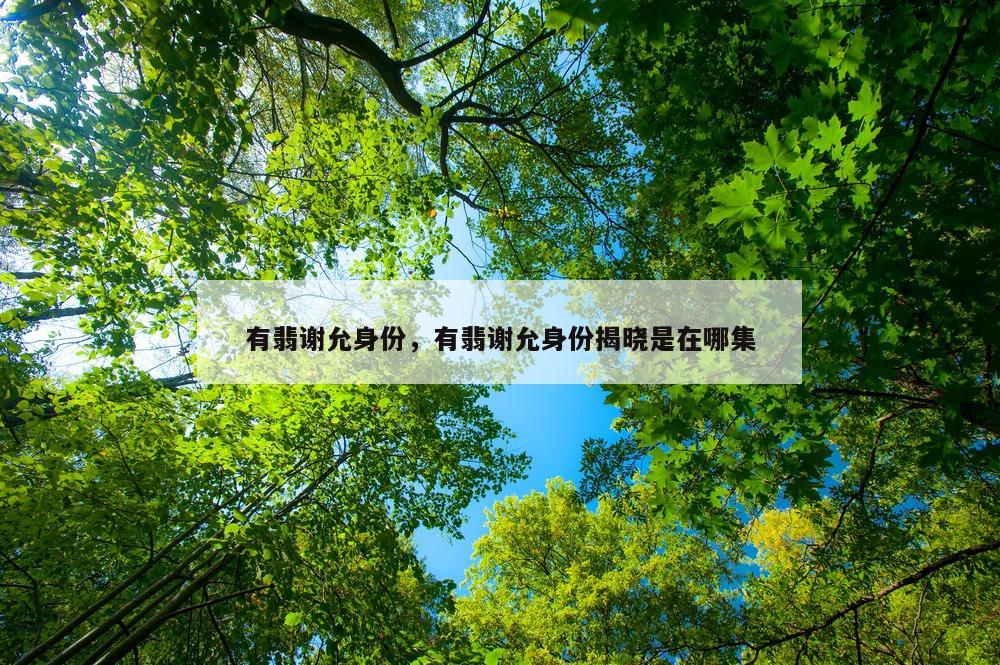 有翡谢允身份，有翡谢允身份揭晓是在哪集