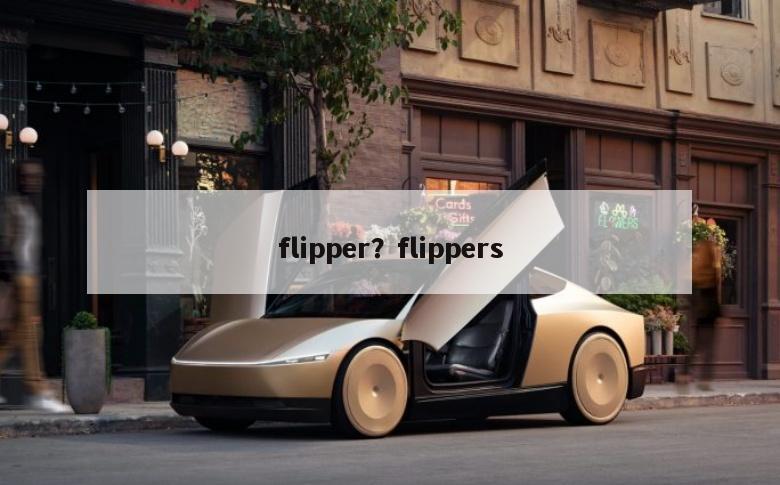 flipper？flippers
