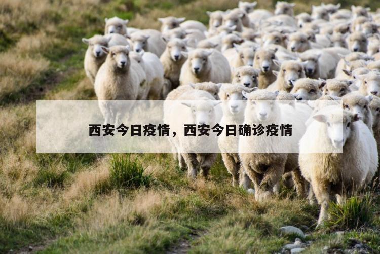 西安今日疫情，西安今日确诊疫情