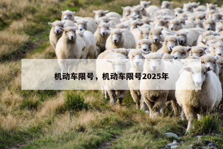 机动车限号，机动车限号2025年