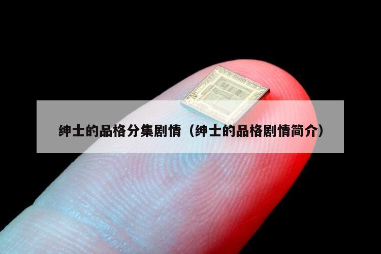 绅士的品格分集剧情（绅士的品格剧情简介）
