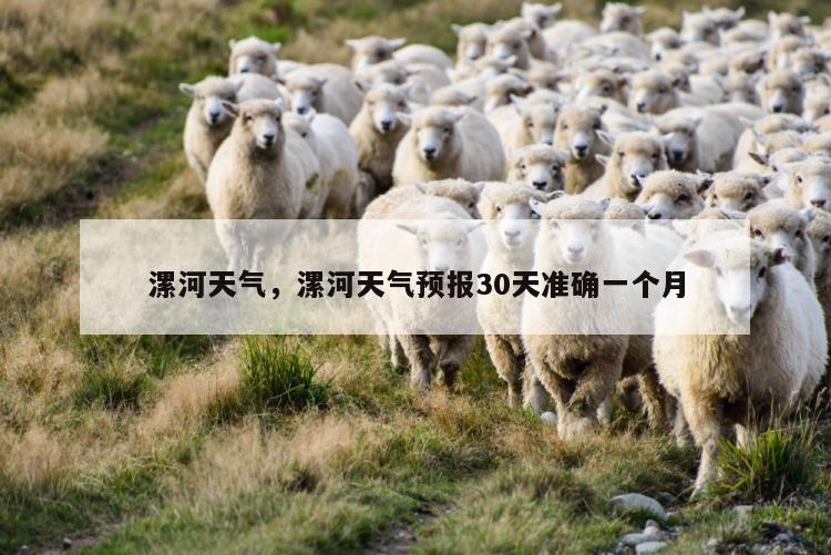 漯河天气，漯河天气预报30天准确一个月
