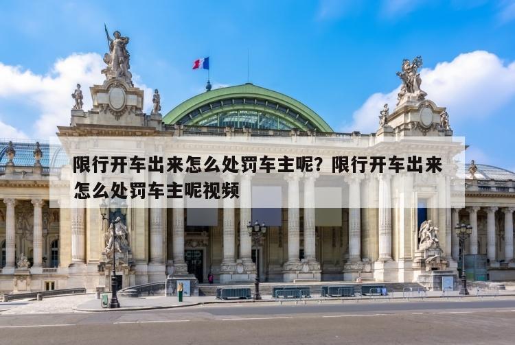 限行开车出来怎么处罚车主呢？限行开车出来怎么处罚车主呢视频