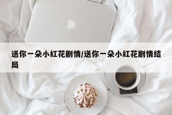 送你一朵小红花剧情/送你一朵小红花剧情结局