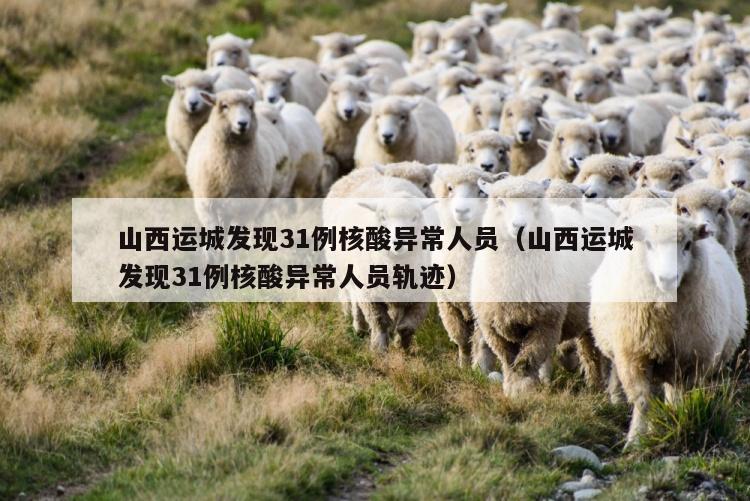 山西运城发现31例核酸异常人员（山西运城发现31例核酸异常人员轨迹）