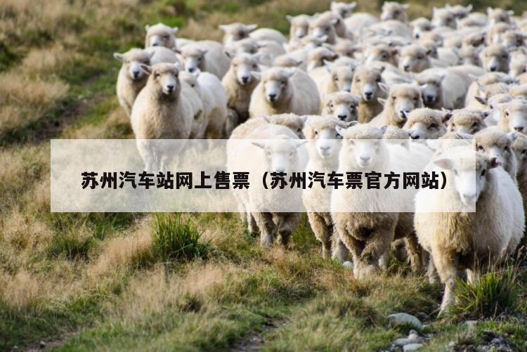 苏州汽车站网上售票（苏州汽车票官方网站）