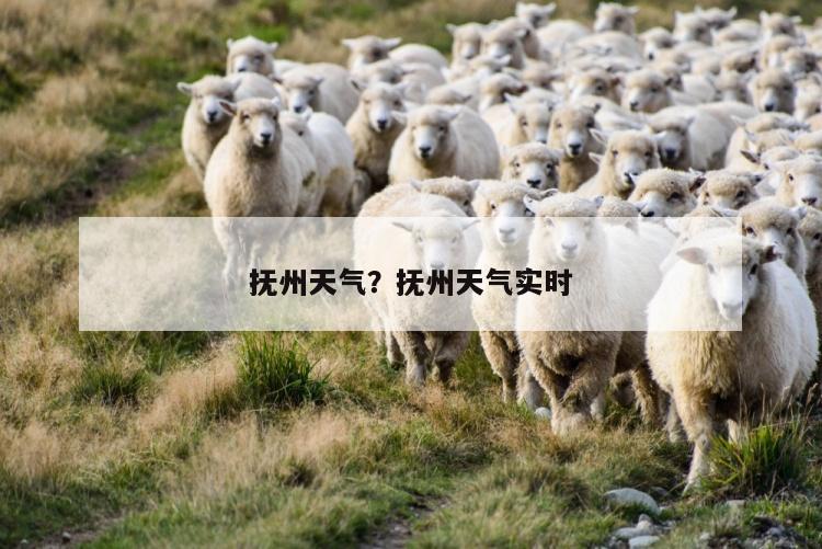 抚州天气？抚州天气实时