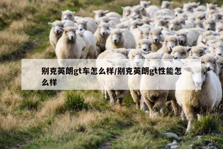 别克英朗gt车怎么样/别克英朗gt性能怎么样