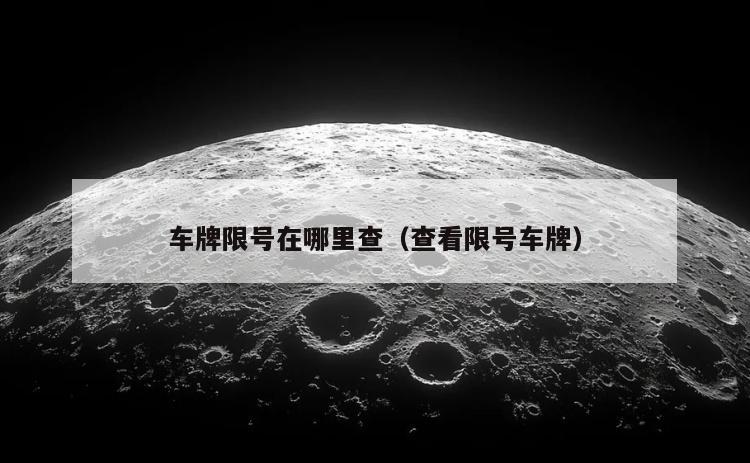 车牌限号在哪里查（查看限号车牌）