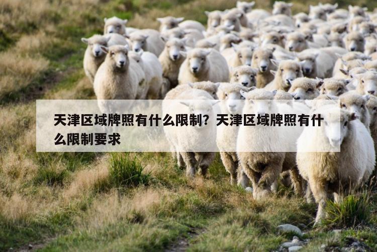 天津区域牌照有什么限制？天津区域牌照有什么限制要求