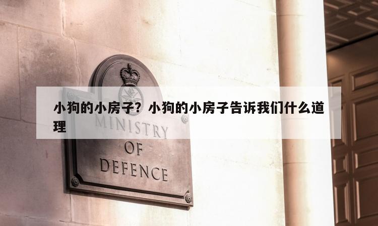 小狗的小房子？小狗的小房子告诉我们什么道理