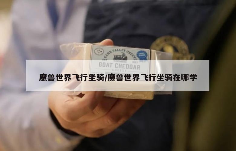 魔兽世界飞行坐骑/魔兽世界飞行坐骑在哪学