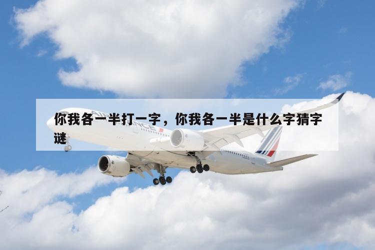 你我各一半打一字，你我各一半是什么字猜字谜