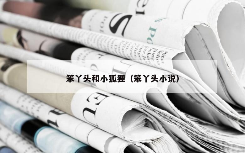 笨丫头和小狐狸（笨丫头小说）
