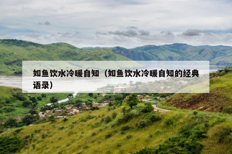 如鱼饮水冷暖自知（如鱼饮水冷暖自知的经典语录）