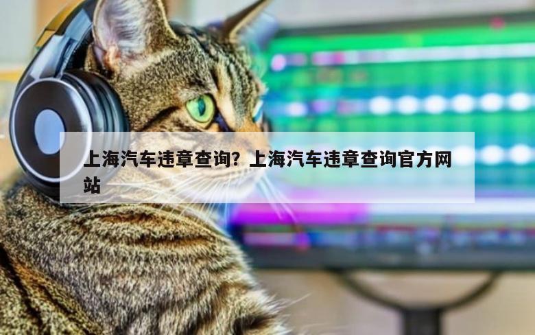 上海汽车违章查询？上海汽车违章查询官方网站