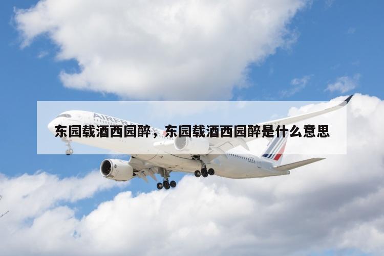 东园载酒西园醉，东园载酒西园醉是什么意思