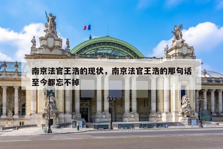 南京法官王浩的现状，南京法官王浩的那句话至今都忘不掉
