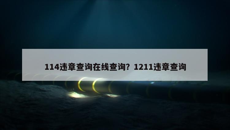 114违章查询在线查询？1211违章查询