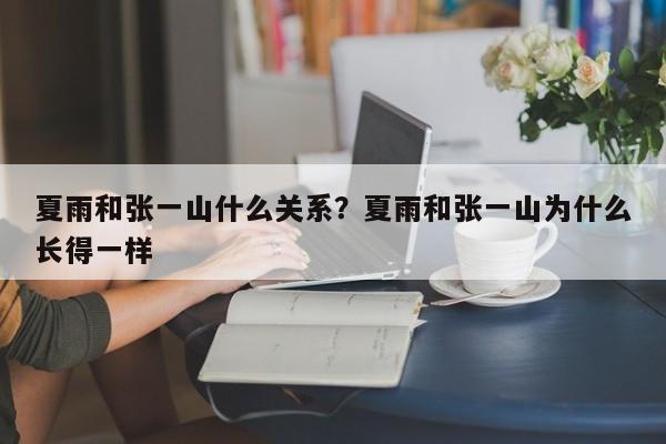 夏雨和张一山什么关系？夏雨和张一山为什么长得一样