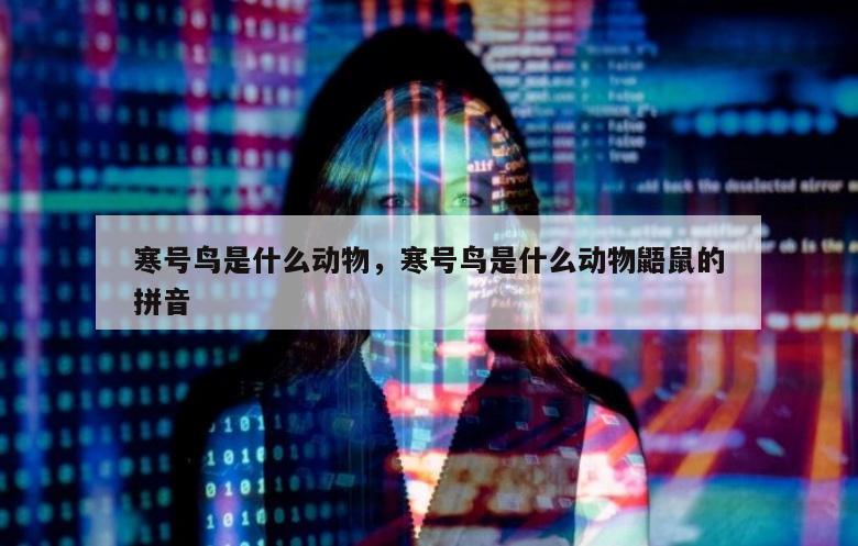 寒号鸟是什么动物，寒号鸟是什么动物鼯鼠的拼音