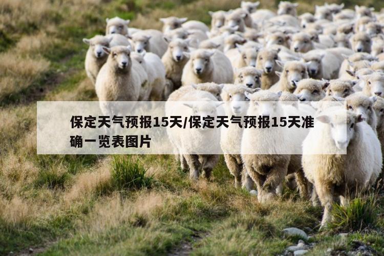 保定天气预报15天/保定天气预报15天准确一览表图片