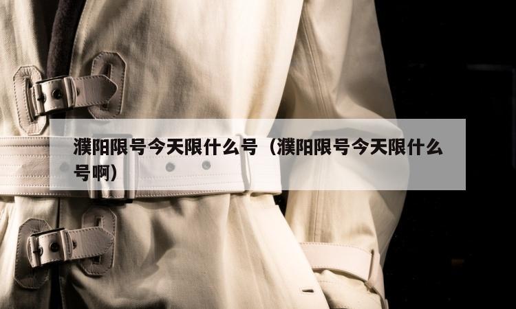 濮阳限号今天限什么号（濮阳限号今天限什么号啊）