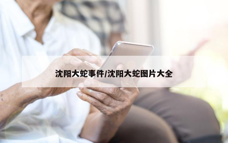 沈阳大蛇事件/沈阳大蛇图片大全
