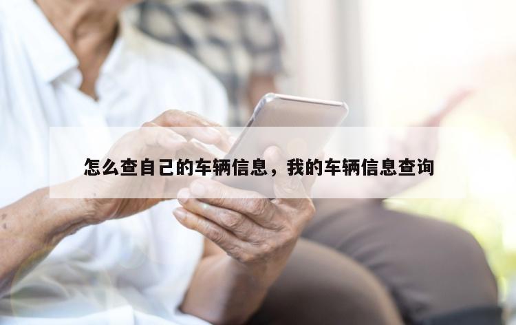 怎么查自己的车辆信息，我的车辆信息查询