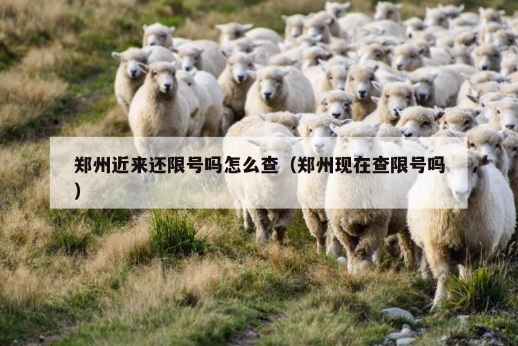 郑州近来还限号吗怎么查（郑州现在查限号吗）