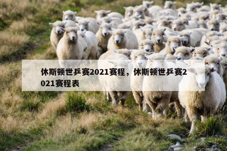休斯顿世乒赛2021赛程，休斯顿世乒赛2021赛程表