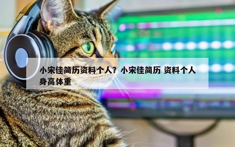 小宋佳简历资料个人？小宋佳简历 资料个人身高体重