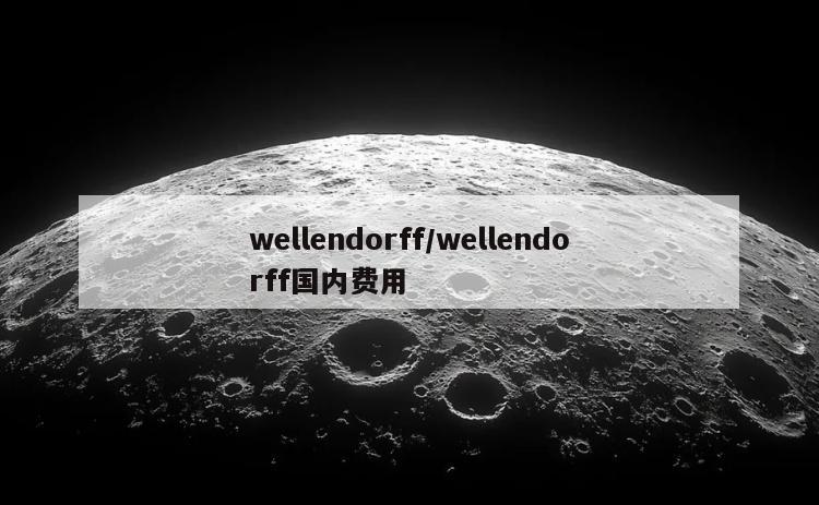 wellendorff/wellendorff国内费用