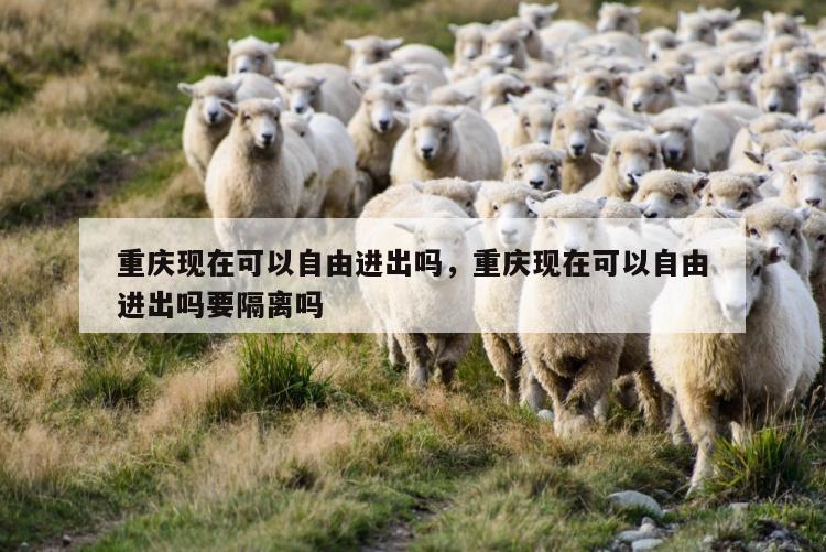 重庆现在可以自由进出吗，重庆现在可以自由进出吗要隔离吗
