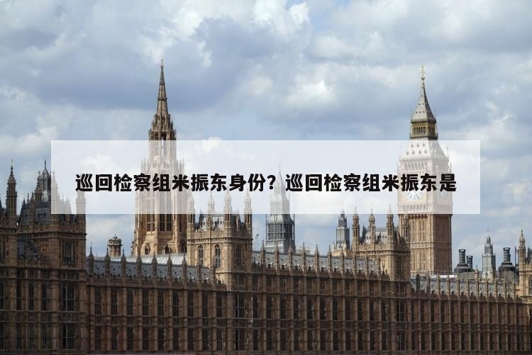 巡回检察组米振东身份？巡回检察组米振东是