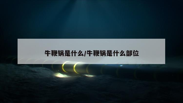 牛鞭锅是什么/牛鞭锅是什么部位