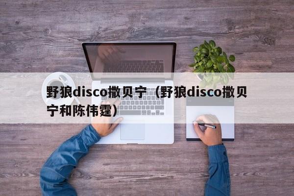 野狼disco撒贝宁（野狼disco撒贝宁和陈伟霆）