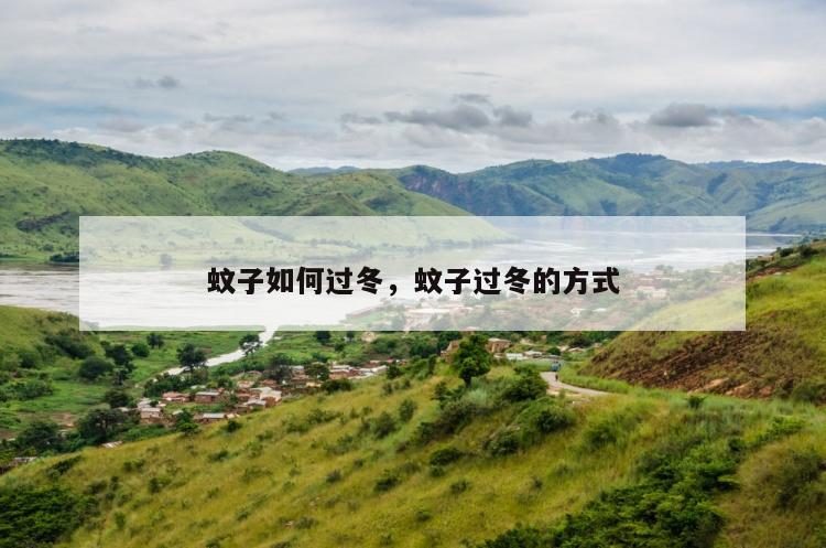 蚊子如何过冬，蚊子过冬的方式