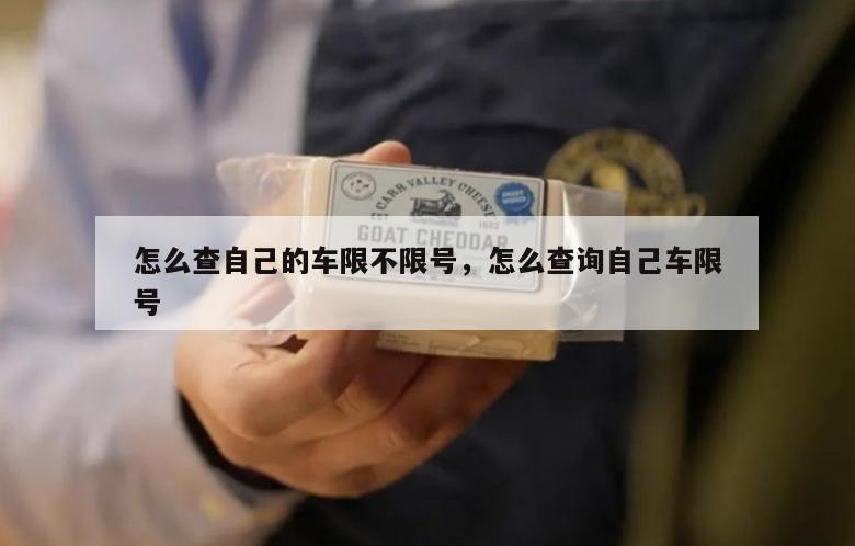 怎么查自己的车限不限号，怎么查询自己车限号
