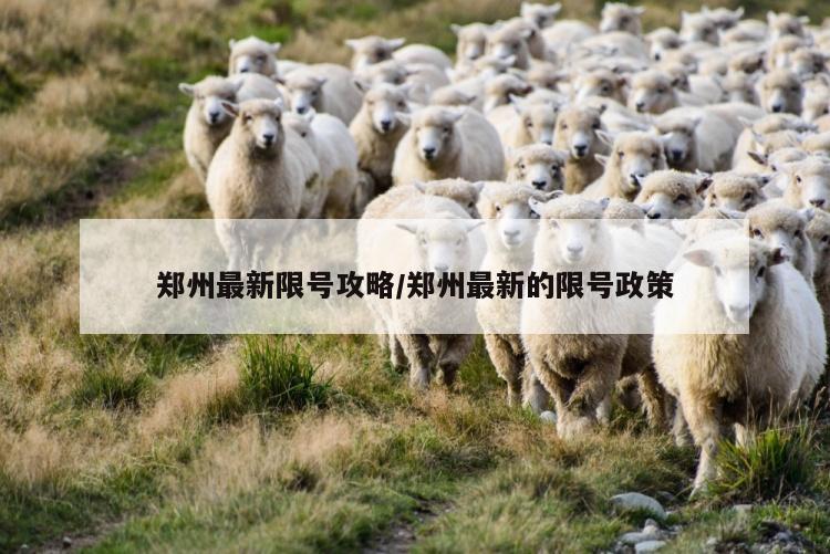 郑州最新限号攻略/郑州最新的限号政策